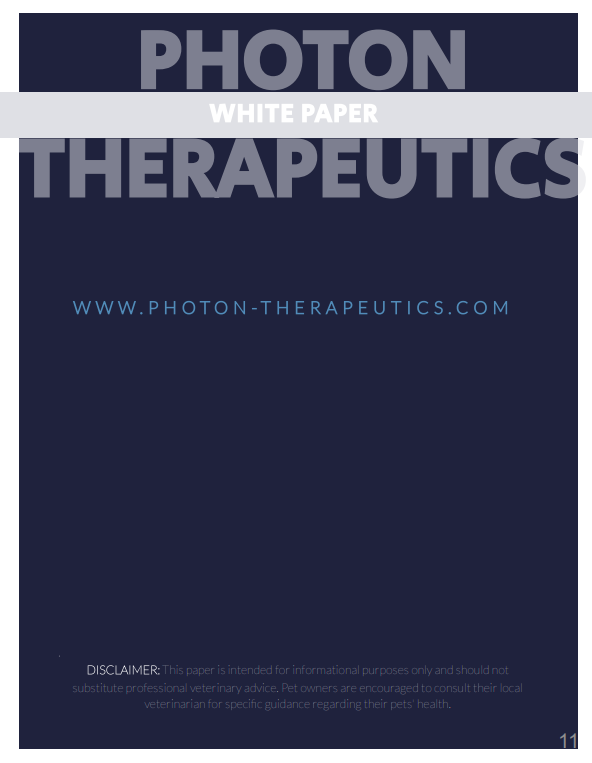 White Paper Pg 11