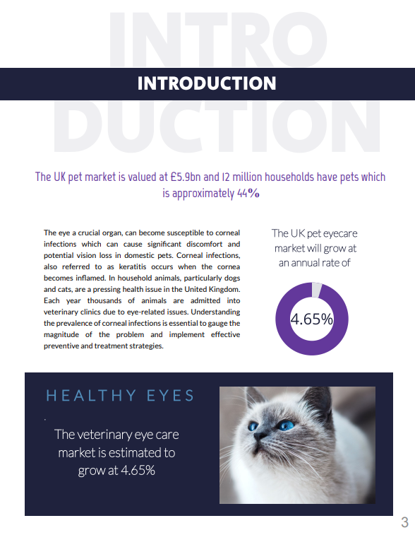 White Paper Pg 3
