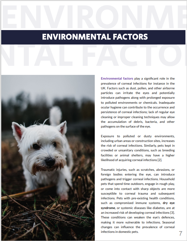 White Paper Pg 7