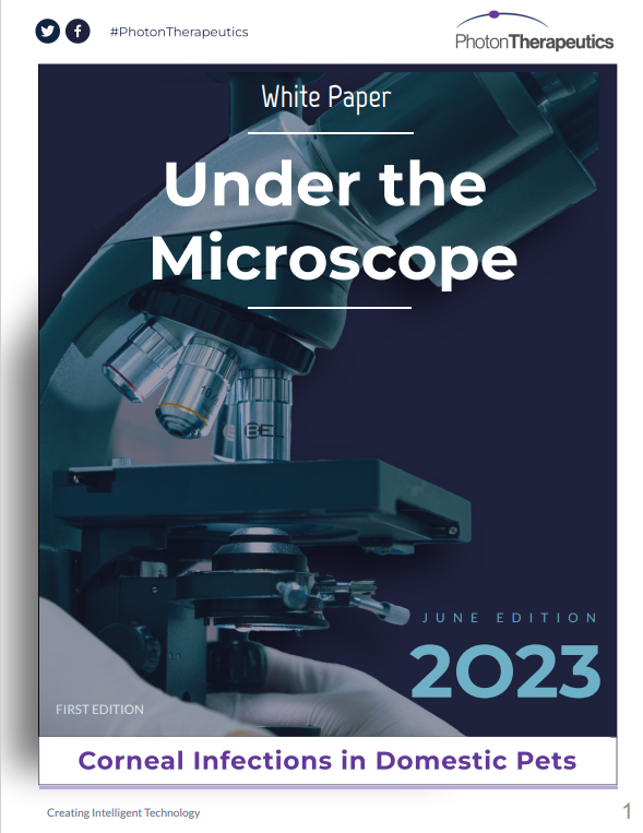 WhitePaper pic